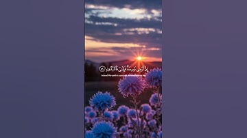 سورة العنكبوت✨شيخ ياسر الدوسري✨صلو على النبي💜#القرآن#قرآن_يومياً#قرآن_يهدئ#راحة_نفسية #القرآن_نور
