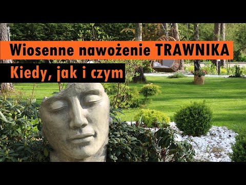 Wiosenne nawożenie trawnika