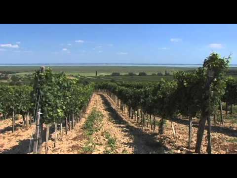 Neusiedler See Vacation Travel Video Guide