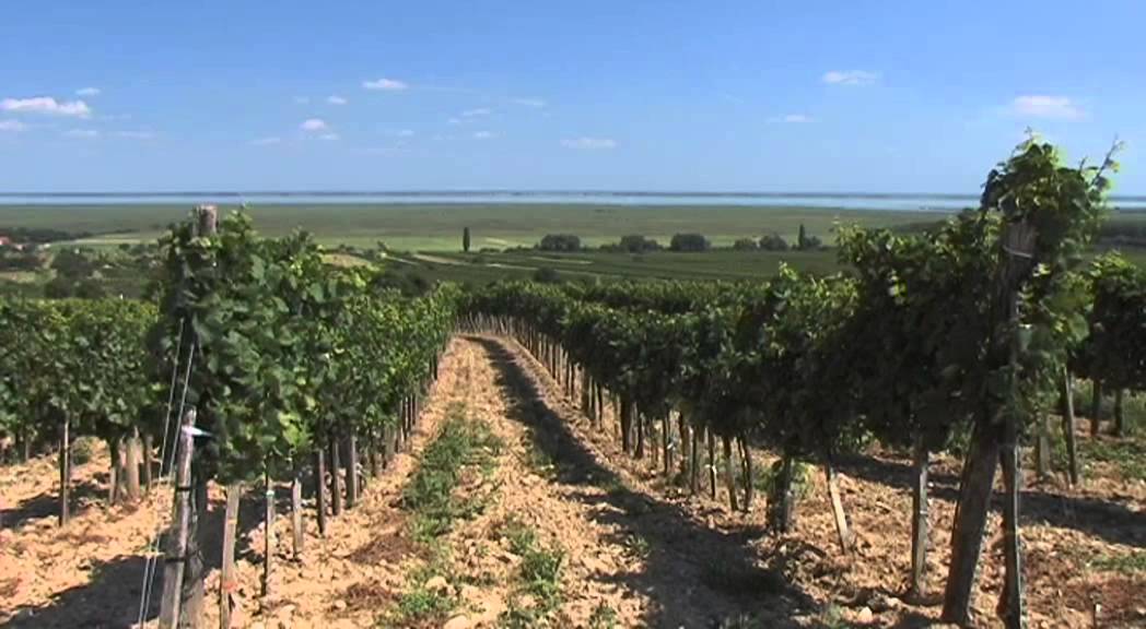 Neusiedler See Vacation Travel Video Guide