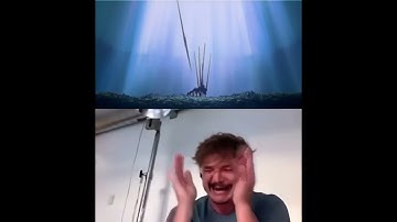 Pedro Pascal Crying - Evangelion (Asuka Death) - Todd Pham