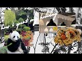 Vlog how i spent my holiday  weekend in the city going to ikea flowers garden zoo