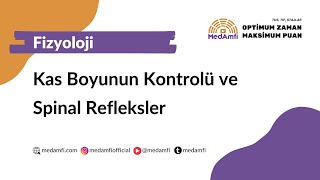 Kas Boyunun Kontrolü Ve Spinal Refleksler - Fizyoloji