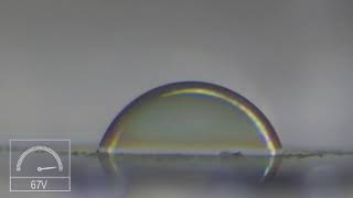 Corning® Varioptic® Lenses: Electrowetting Demonstration