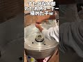 わたあめ作りを極めた子 #shorts #すたみな太郎 #食べ放題 #わたあめ #家族