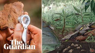 Remarkable fossil discovery offers a peek into Australia’s ancient past