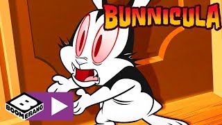 Bunnicula Die Gutenachtgeschichte Cartoonito