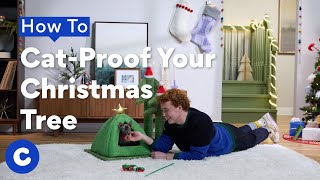 How To Cat-Proof Your Christmas Tree | Chewtorials by Chewy 1,651 views 4 months ago 2 minutes, 32 seconds