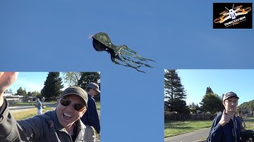 Animal Planes | Vote for your Favorite