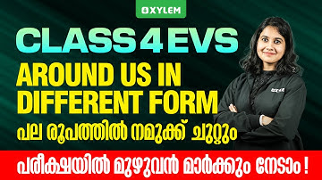 Class 4 EVS | Around Us in Different Forms (പല രൂപത്തിൽ നമുക്ക് ചുറ്റും) | Xylem Class 4