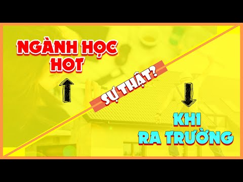Video TOP Các Ngành Học Hot Ở Đại Học Thực Tế Ra Trường Làm... - YouTube