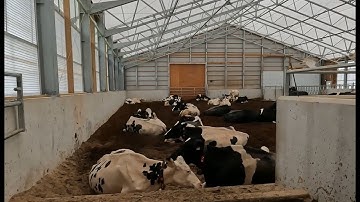 Pros & Cons of Our New WeCover/Lely Robot Barn