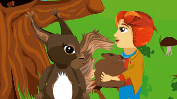 Jaké jsou plody veverek?