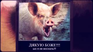 Картинки Демотиваторы Приколы 50 Картинки Демотиваторы Приколы 50