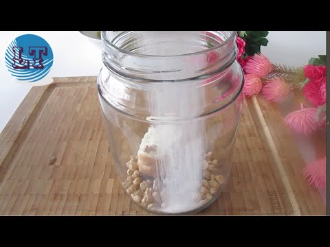 حان الوقت في كل مكان في المنزل في جميع أنحاء الجسم الفوائد عديدة