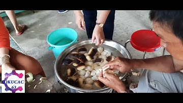 Cơm trái Thốt Nốt Tịnh Biên -An Giang :Khâu cuối cùng thu hoạch cơm Thốt Nốt  trắng giòn và dai