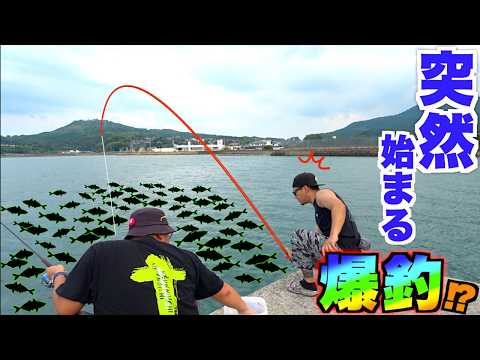 A Sudden School of Fish in the Quiet Sea!?