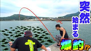 静かな海に突然の魚群が!?
