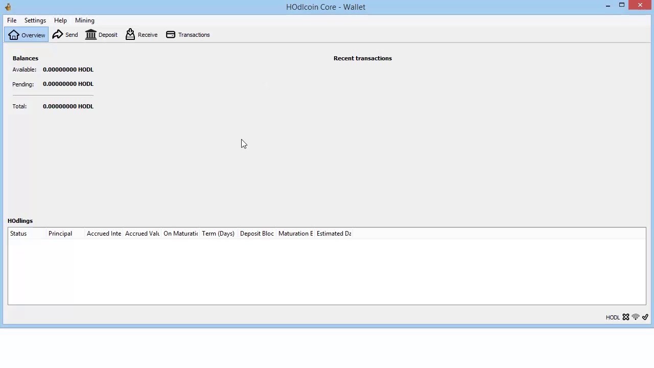 HOdlCoin Wallet Overview & Deposits