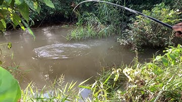 MONSTERNYA KENA.!!! MANCING IKAN NILA LOKAL.! IKAN INI CUMA ADA DI LUAR PULAU JAWA