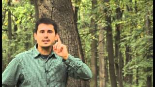 Volim Prirodu Orjentacija