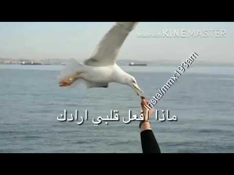 اجمل اغنيه تركيه عيوني علا الطريق 