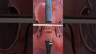 Strings of the violin #shorts Profile