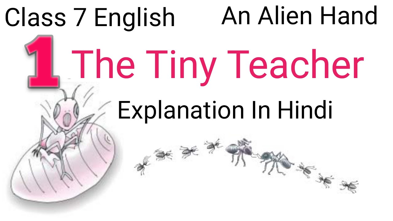The Tiny Teacher Chapter 1 Class 7 NCERT English Supplementary An the-tiny-teacher-chapter-1-class-7-ncert-english-supplementary-an