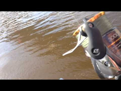 Street fishing. Minu