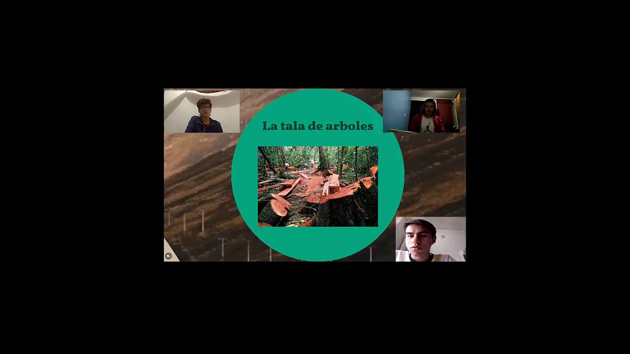 Territorio Y Territorialidad YouTube