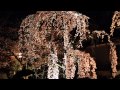 [4K Slidshow]The four seasons in Kyoto Part1・京都の四季の写真集(2007-2012)