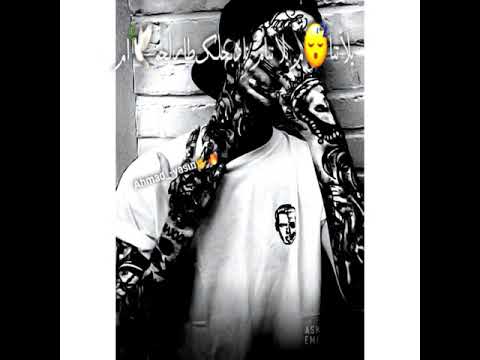 يلا تنام يلا تنام حلات واتس