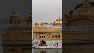 @Darbarsahibamritsar @Darbarsahibgoldentemple @bhaimehtabsinghjalandhar #gurbanikirtan #shorts #ptc