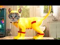 My Favorite Cat Little Kitten Adventure - Play Fun Costume Dress-Up Party Gameplay