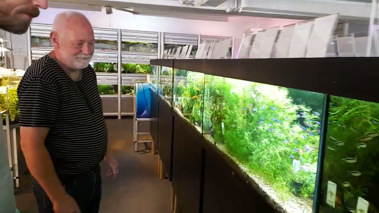 Fredagsfilm - Besøg hos Akvariebutikken Fikken på Sjælland!