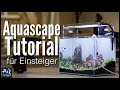 Wie geht aquascaping  aquaowner