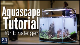 Wie geht Aquascaping? | AquaOwner