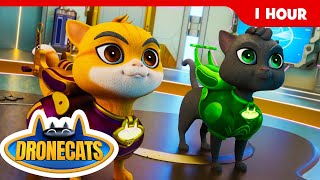 1 Hour of Drone Cats Adventures! 🚁 | Movie Star Madness & Epic Rescues for Kids 🎥🐱