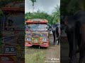 Kubiyo bus video new