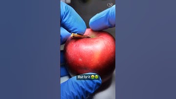 Apple Under Microscope #apple #healthtips #microscope #trending #viral #shorts
