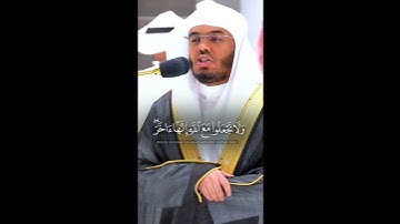 فَفِرُّوا إِلَى اللَّهِ ~ تلاوة هادئة وجميلة من سورة الذاريات للشيخ ياسر الدوسري 😌🤍