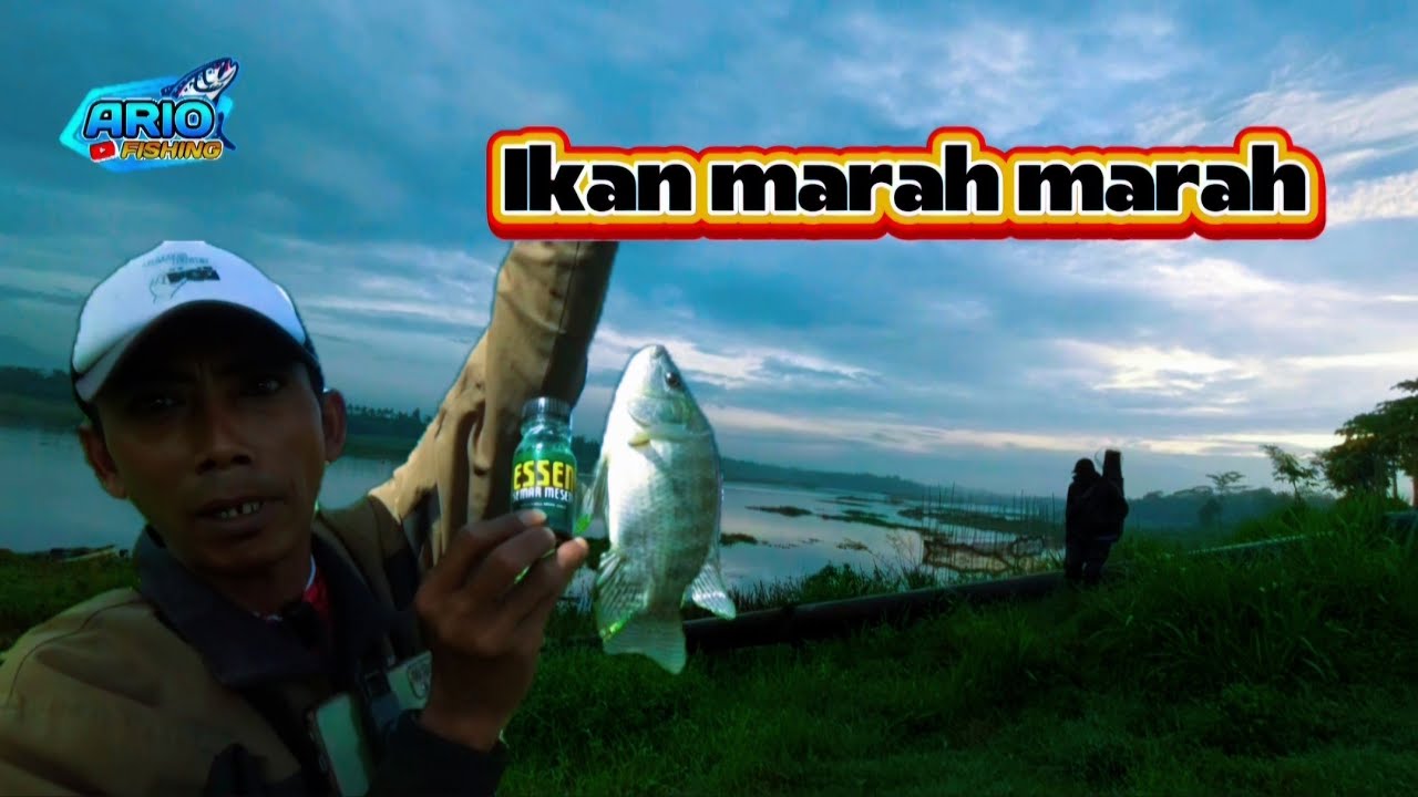 Liaran Tanggul Druju Pagak‼️ Waduk Karangkates Malang Jawa Timur Indonesia