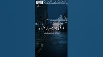 عبد الرحمن مسعد تلاوة /ان الله لايخفى عليه شي