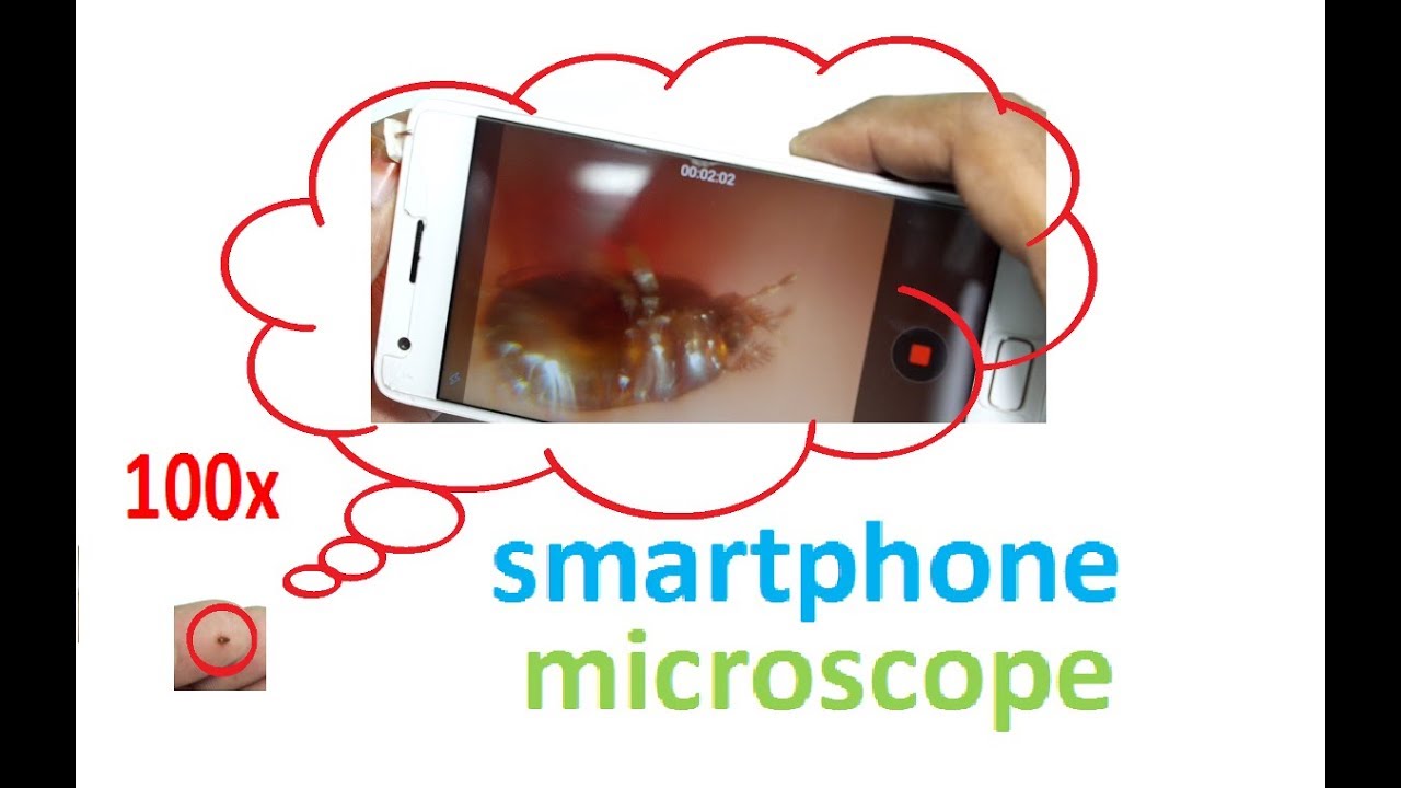 smartphone-into-a-digital-microscope-mr-sha-youtube