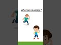 Bones and Muscles - Let's move!! | Smart Science #shorts #smarteducation #bones #muscles