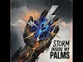 Storm Inside My Palms