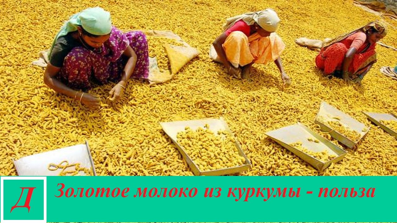 Золотое молоко из куркумы - польза, рецепт