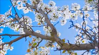 Andre Rabe - The Faith of Christ (Doxa Deo London 2012)