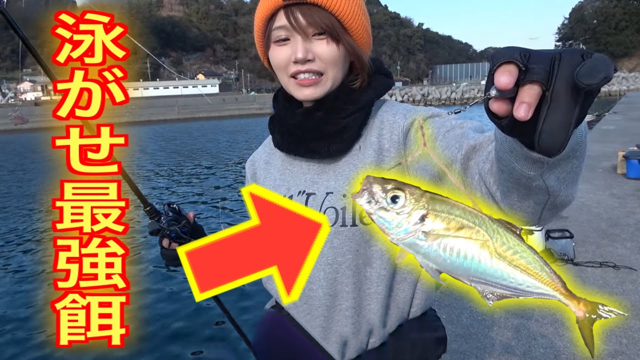 アジを釣ってぶっ込むだけ‼️簡単で最強の釣りがこちら。