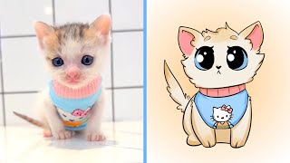 Cat Memes: The Cutest Thing You'll See on the Internet | CAT vs ART by Cat Memes 62,596 views 1 month ago 10 minutes, 35 seconds